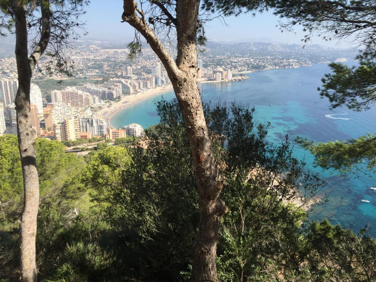 Mesana 102 / Penthouse Calpe Exterior foto